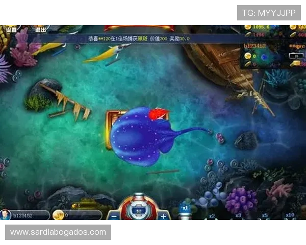 ag捕鱼王平台多样化游戏模式，满足不同玩家的娱乐需求