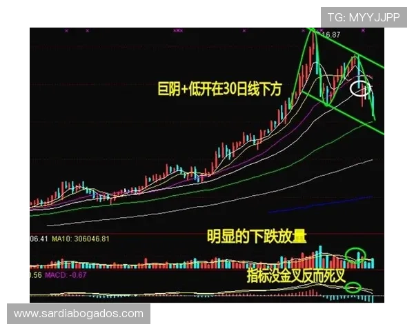 真人电子游戏行业的发展现状与未来趋势预测助力投资者把握市场机遇与挑战